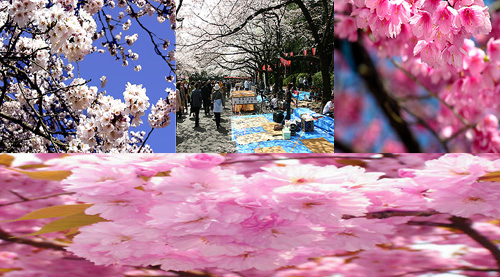 สถานที่ท่องเที่ยวสวยๆ