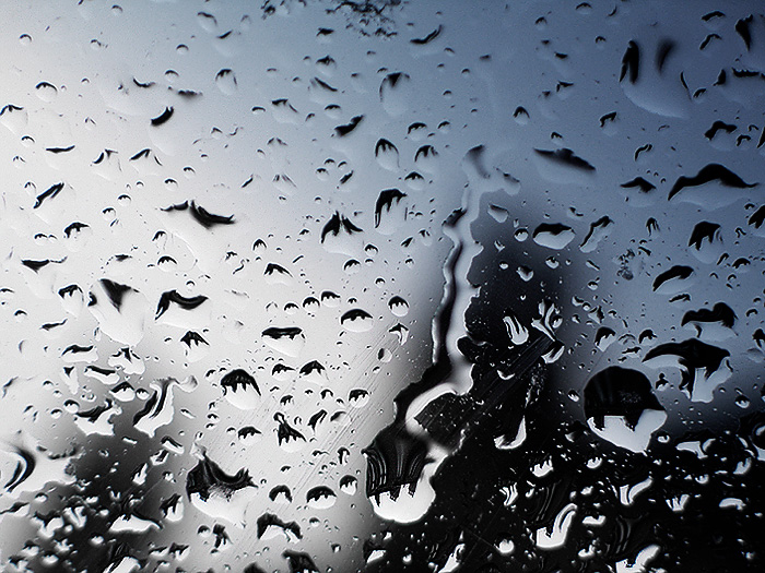 ผวาฝนรังสี! โรงเรียนเกาหลีใต้หยุดการสอนนับร้อยแห่ง