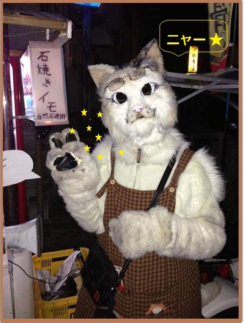 เจ้าเหมียวแห่งร้านมันเผาบนเตาหิน