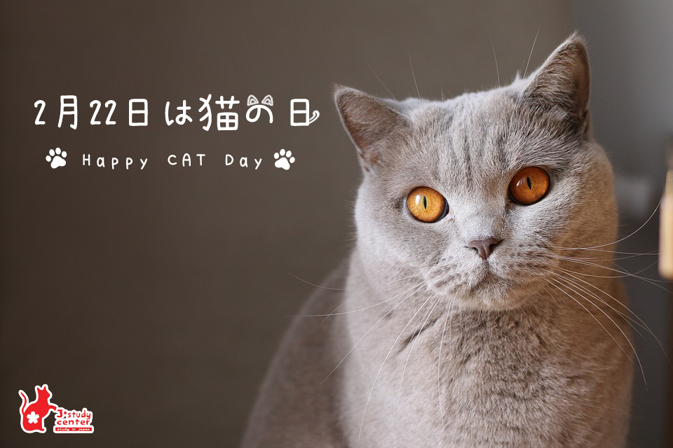 猫の日 : Neko No Hi