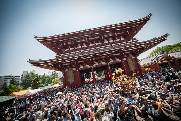 เทศกาล Sanja Matsuri ที่วัดเซนโซจิ อาซาคุซะ