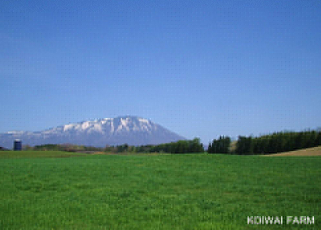 Iwate