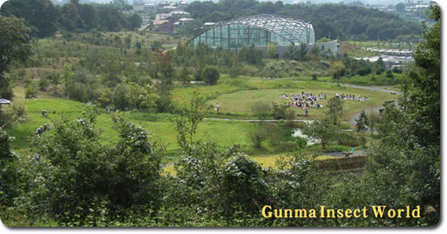 Gunma, Gifu , Shizuoka