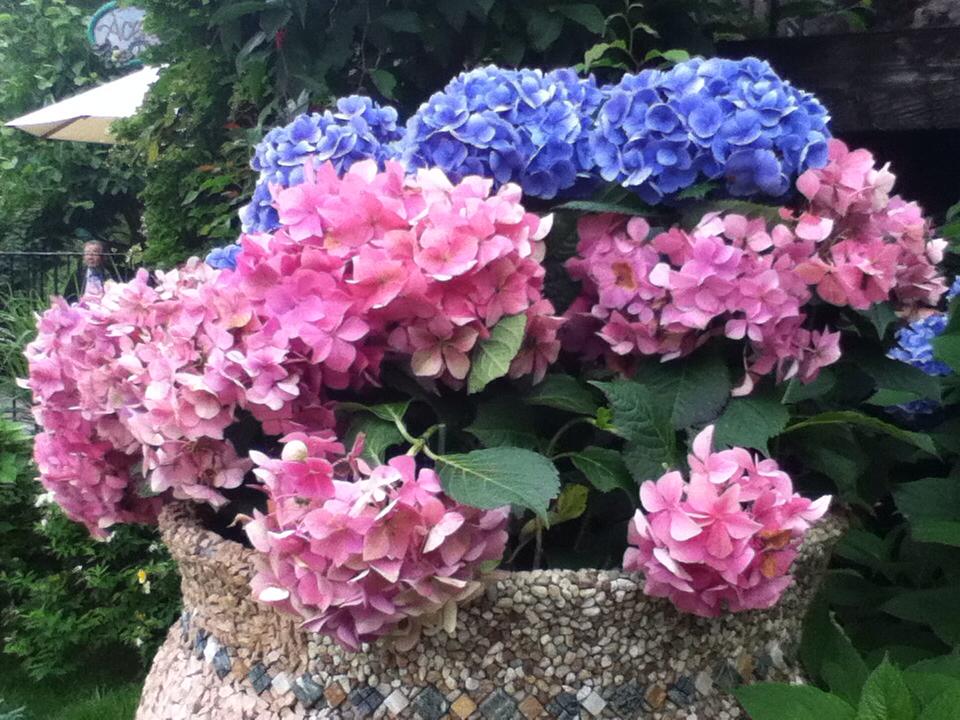 Hakone Glass Museum งามขนาดนี้ ไม่ไปไม่ได้แล้ว